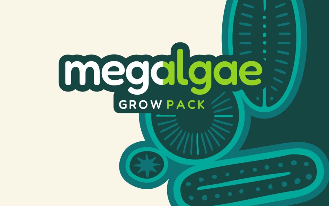 MegAlgae Grow Pack